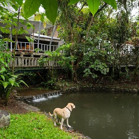 Rancho Margot Sustainable & Self Sufficient Eco Lodge El Castillo Exterior photo