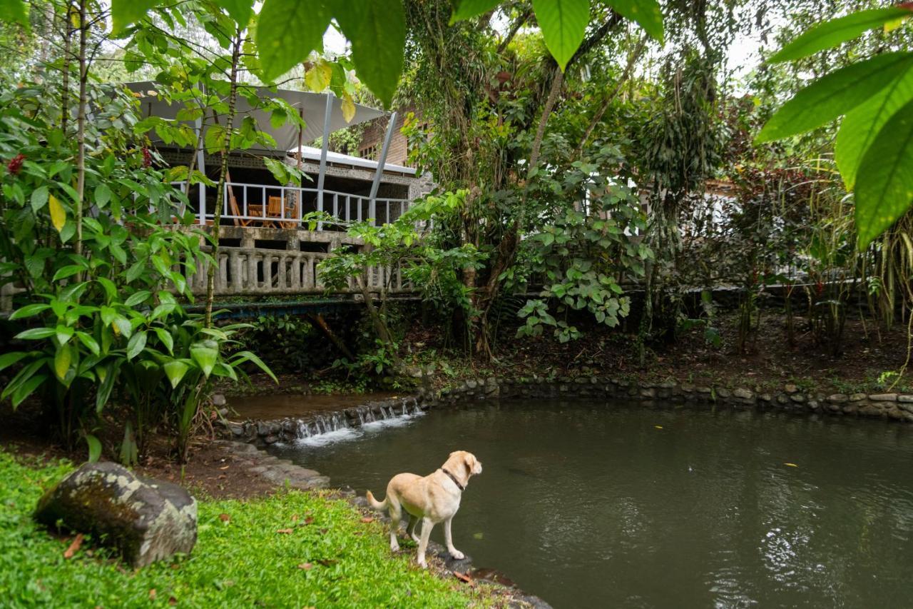 Rancho Margot Sustainable & Self Sufficient Eco Lodge El Castillo Exterior photo