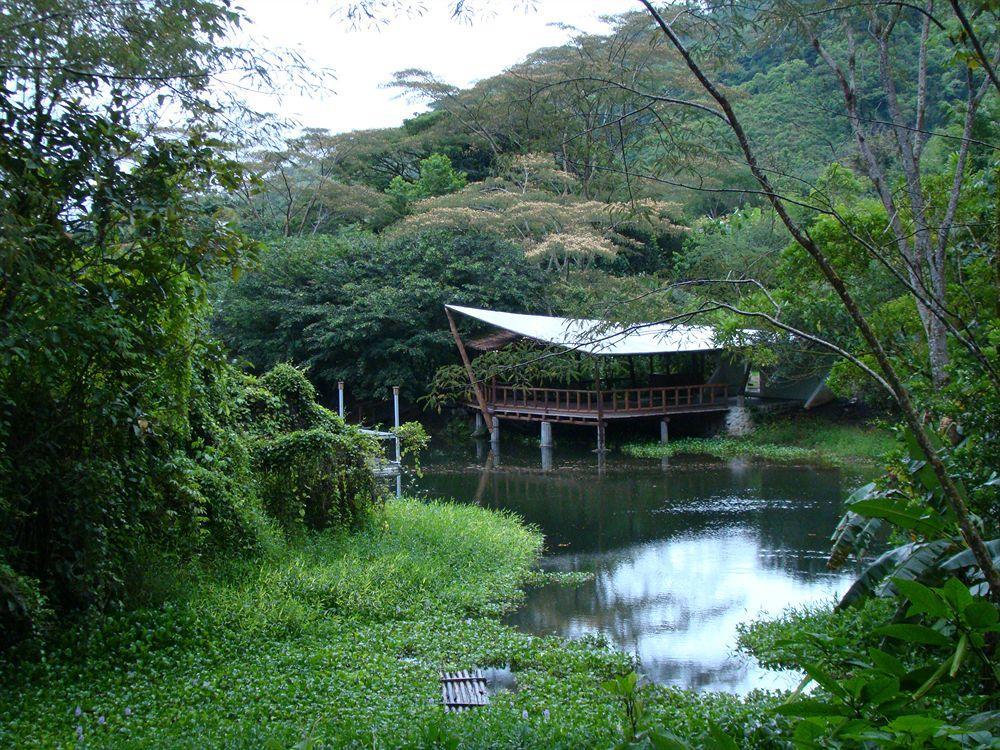 Rancho Margot Sustainable & Self Sufficient Eco Lodge El Castillo Exterior photo