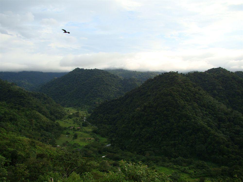 Rancho Margot Sustainable & Self Sufficient Eco Lodge El Castillo Exterior photo