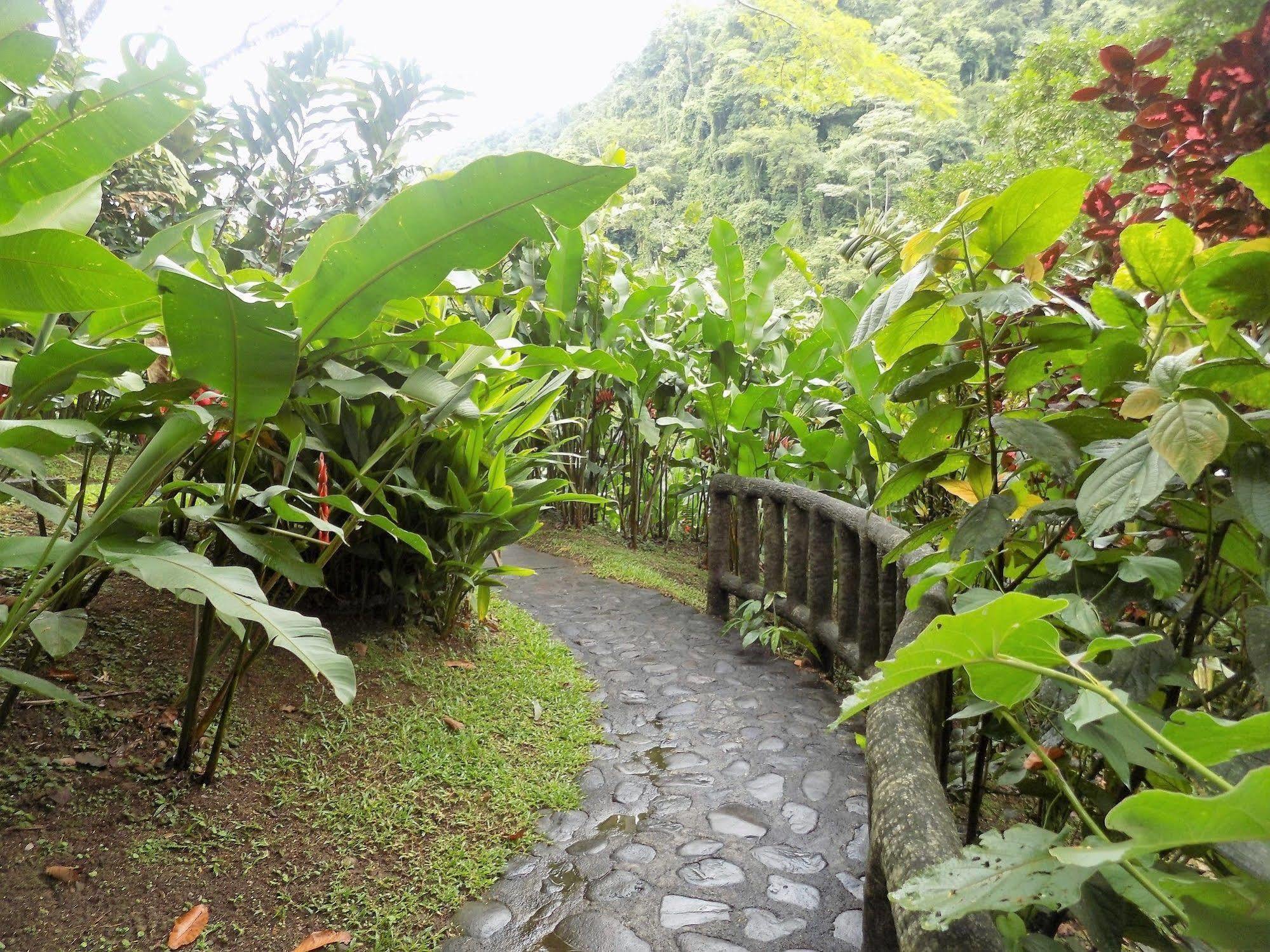 Rancho Margot Sustainable & Self Sufficient Eco Lodge El Castillo Exterior photo