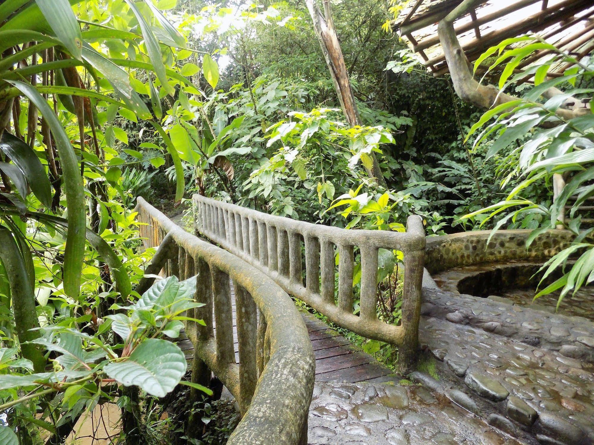 Rancho Margot Sustainable & Self Sufficient Eco Lodge El Castillo Exterior photo